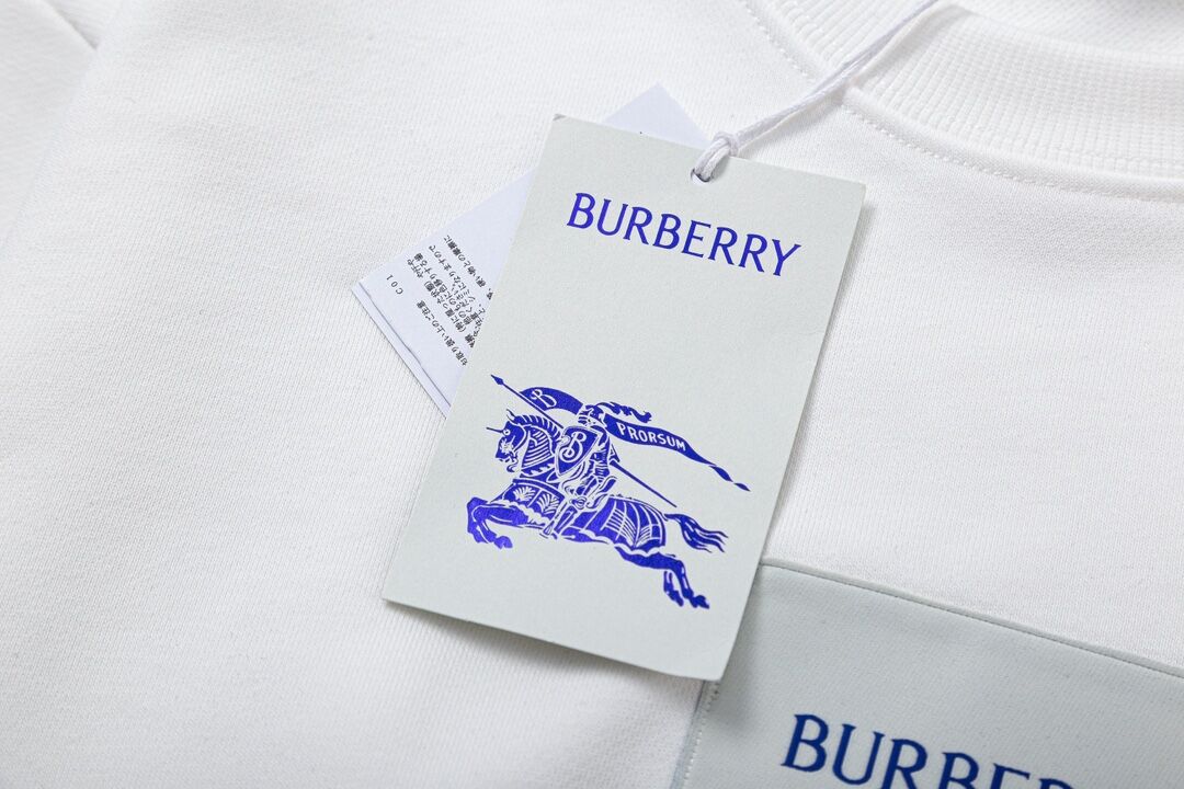 Burberry Hoodies